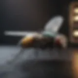 Innovative Electric Fly Killer Design