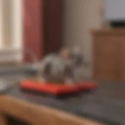 Innovative electronic mouse trap design