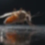 Innovative Mosquito Control Methods