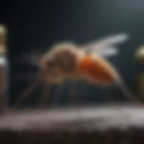 Revolutionary Product Design for Mosquito Repellent Innovative Mosquito Repellent Design