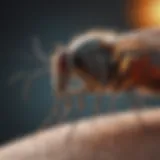 Innovative Mosquito Repellent Solution