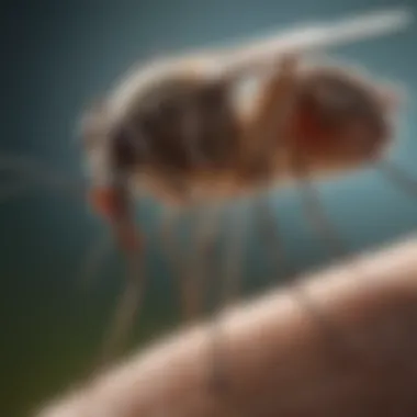 Cutting-Edge Mosquito Repellent Technology Innovative Mosquito Repellent System