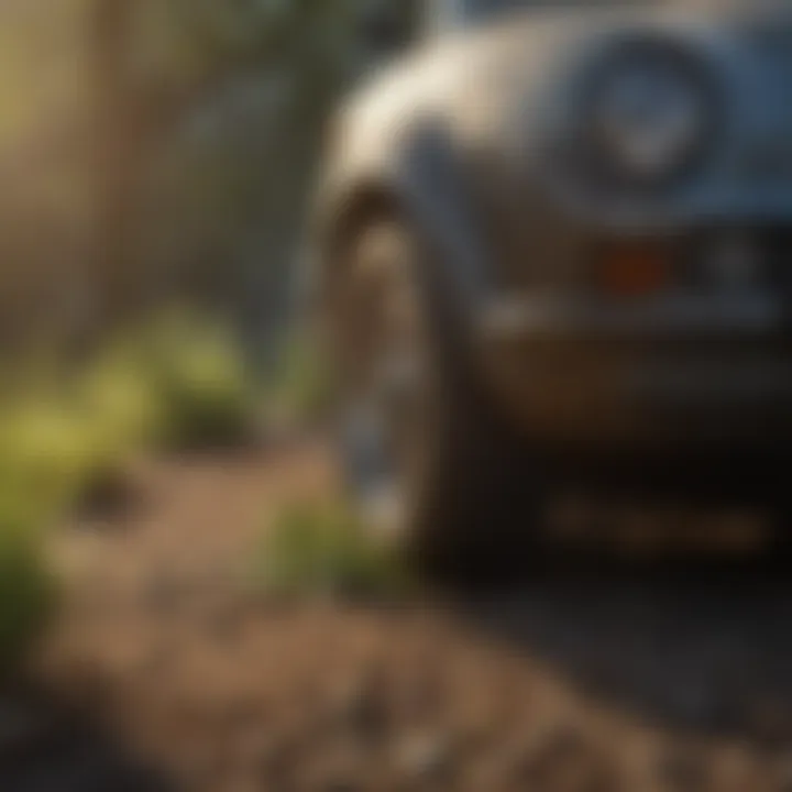 Sustainable Solutions: Eco-Friendly Repellents Eco-Friendly Repellents