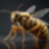 Cutting-Edge Innovation Innovative Technology Yellow Jacket 60430