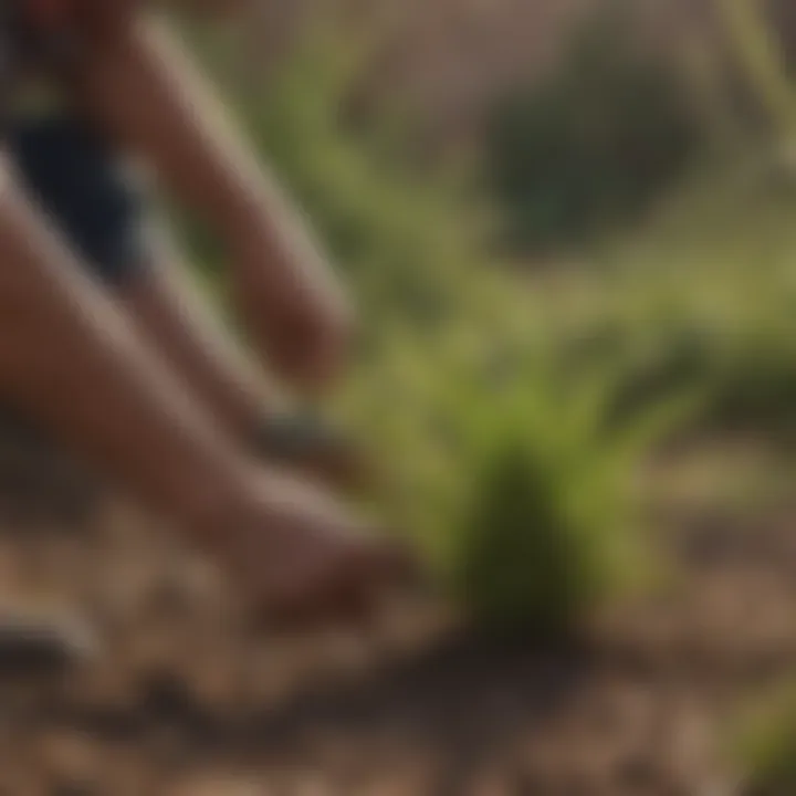 Integrated Weed Management Strategies Integrated Weed Management Strategies for Maricopa AZ