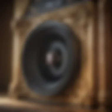 Benefits of Professional Pest Control in Spring Hill FL