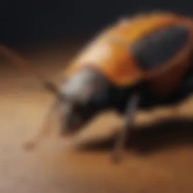 Cutting-Edge Pest Management Techniques