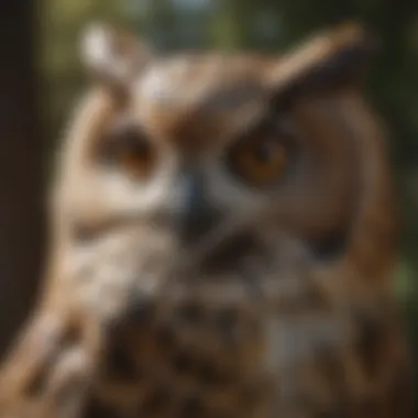 Large Owl Statue with Reflective Eyes