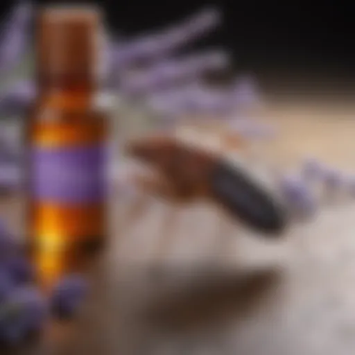 Natural Bed Bug Deterrent - Lavender Essential Oil