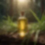 Lemongrass and Citronella Essential Oils