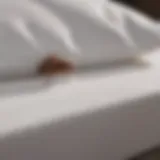 Luxurious and Elegant King Size Bed Bug Proof Mattress Cover