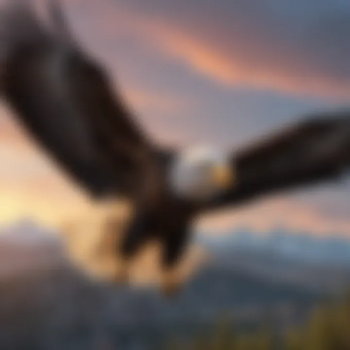 Majestic Bald Eagle in Flight