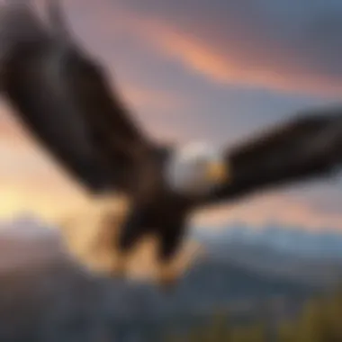 Regal Bald Eagle Soaring Through the Skies Majestic Bald Eagle in Flight