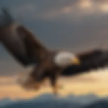 Majestic Bald Eagle in Flight