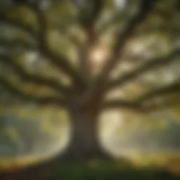 Majestic Oak Tree in a Verdant Forest