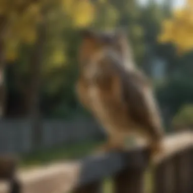 Elegant Fake Owl in Natural Setting Majestic Owl Perched on Fence