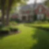 Beautifully Manicured Lawn by TruGreen in Virginia Beach