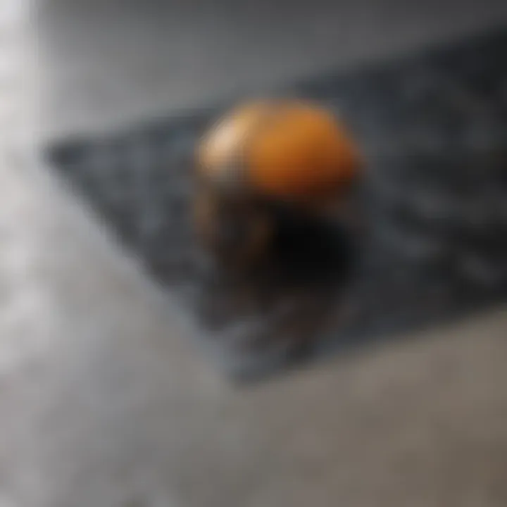 Modern and sleek drain cover for bug prevention