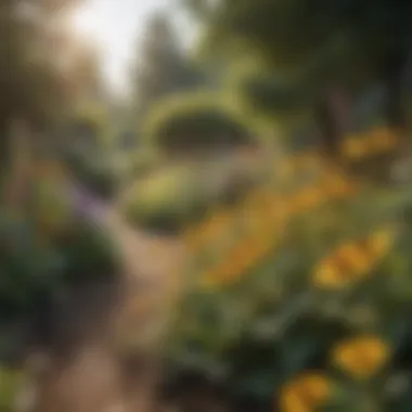 Thriving Garden with Pollinators A contrasting scene of a thriving garden with bees pollinating flowers.