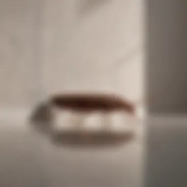 Sleek Approach to Roach Prevention Minimalist Home Maintenance for Roach Prevention