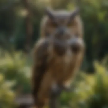 Minimalist Modern Owl Decoy