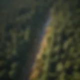 Aerial view of Maine forest showing diverse ecosystems