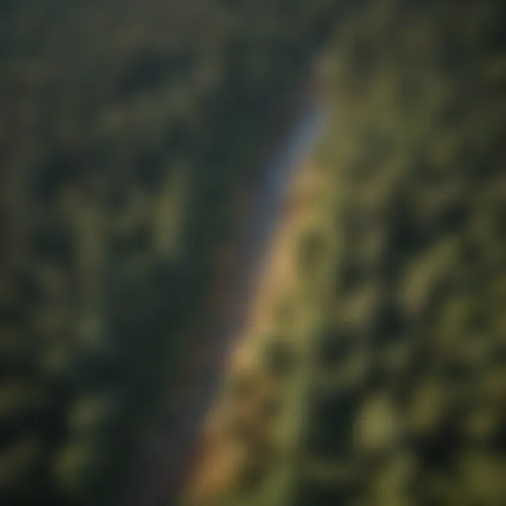 Diverse Ecosystems in Maine Aerial view of Maine forest showing diverse ecosystems