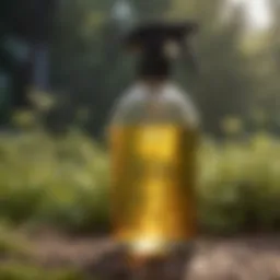 Natural Bug Repellent Spray Bottle