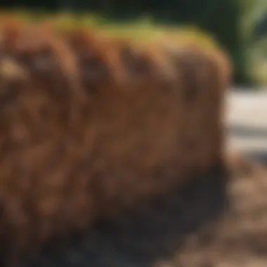 Natural Cedar Bark Mulch Barrier Natural Cedar Bark Mulch Barrier