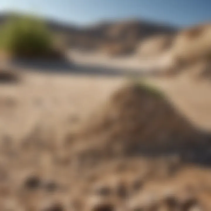 Natural Filtration Solution Diatomaceous earth as a natural filtration solution