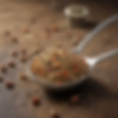 Natural Ingredients Fly Bait Granules Fly bait granules with natural ingredients for effective control