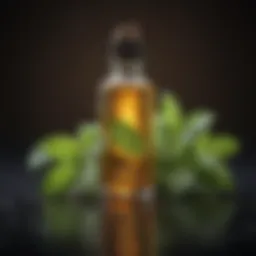 Natural Peppermint Oil Rat Repellent