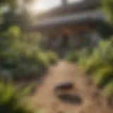 Natural Pest Control Solutions