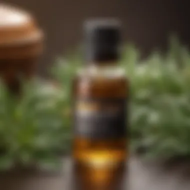 Organic Essential Oils for Flea Control Organic Essential Oils for Flea Control