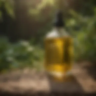Neem Oil Solution for Natural Flea and Tick Repellent Natural Yard Treatment for Fleas and Ticks - Neem Oil Solution