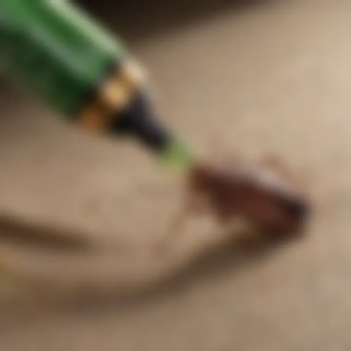 Close-up of neem oil spray being applied to fabric