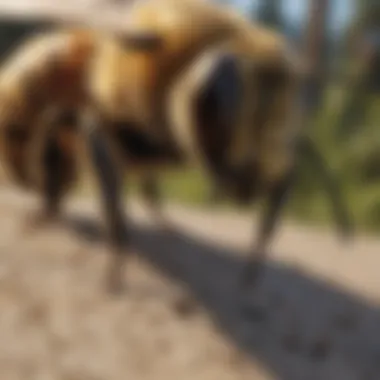 Non-Toxic Bee Control Methods Non-Toxic Bee Control Methods