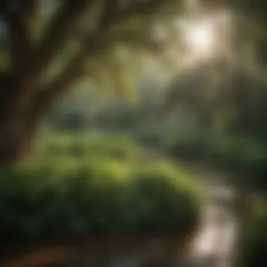 Nature's Embrace: Green Oasis at Omni Hinesville GA Lush Greenery Surrounding Omni Hinesville GA