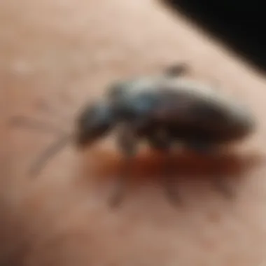 In-depth Erie Shores Pest Identification Erie Shores Pest Identification