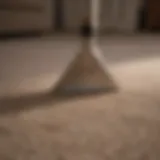 Expert Carpet Care Techniques
