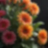 Beautifully Blooming Flowers in Montgomery AL