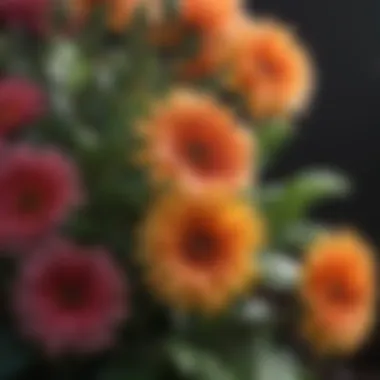 Beautifully Blooming Flowers in Montgomery AL