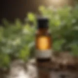 Organic Essential Oils for Clover Mite Control