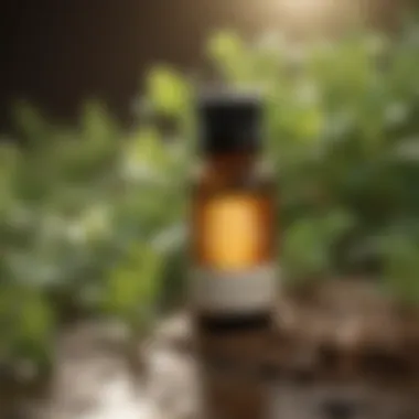 Organic Essential Oils for Clover Mite Control