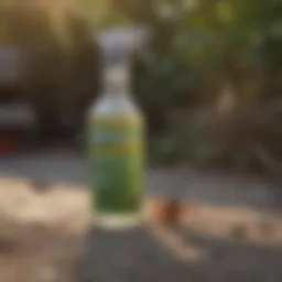 Organic Spider Repellent Spray