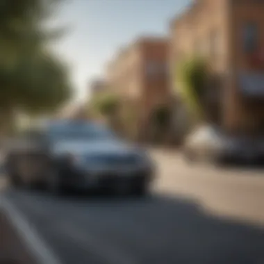 Effortless Ways to Reach Orkin in Albuquerque Convenient Orkin Albuquerque Contact Options