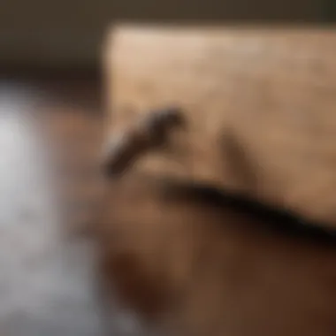 Comprehensive Overview In-depth overview of Budget Brothers Termite Reviews