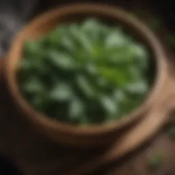 Aromatic peppermint leaves in a rustic wooden bowl