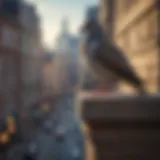 Urban bird perched on ledge