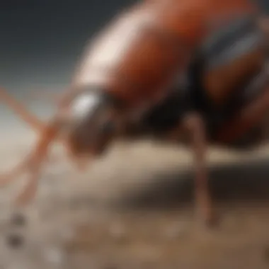 Unearthing Pest Control Strategies with Bayer's Premise Pest Control Insights from Bayer's Premise